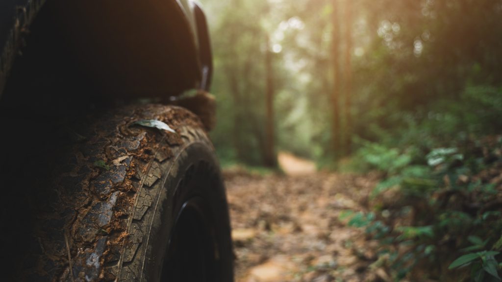 Everything You Need to Know About ATV Trail Map Apps