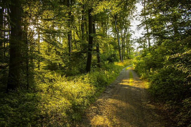 Exploring the Great Outdoors with Trailz: Your Ultimate ATV, UTV, and Snowmobile Guide
